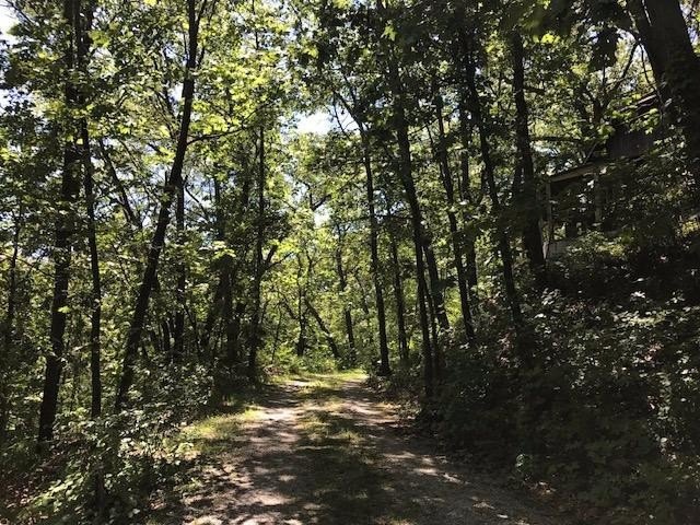 Exceedingly rare opportunity to own over 6 beautiful wooded - Beach Acreage for sale in Beverly Shores, Indiana on Beachhouse.com