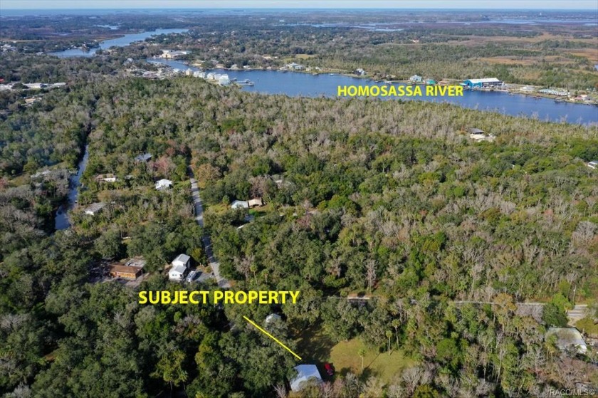 What's not to love here? Live here or buy this home as an - Beach Home for sale in Homosassa, Florida on Beachhouse.com