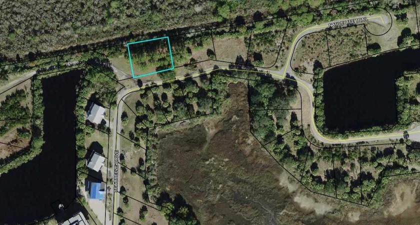 This parcel is located in The Lakes at Shell Point and backs up - Beach Lot for sale in Crawfordville, Florida on Beachhouse.com