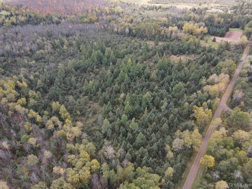 20 Acre parcel bordering County land with year round access, and - Beach Acreage for sale in Ironwood, Michigan on Beachhouse.com