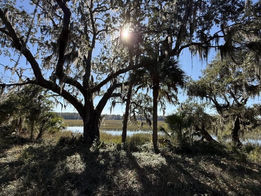 High and level 4.92 acres on a tidal slew that leads out to - Beach Acreage for sale in Edisto Island, South Carolina on Beachhouse.com