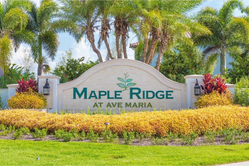 Experience exceptional single-family home living in the Balboa - Beach Home for sale in Ave Maria, Florida on Beachhouse.com