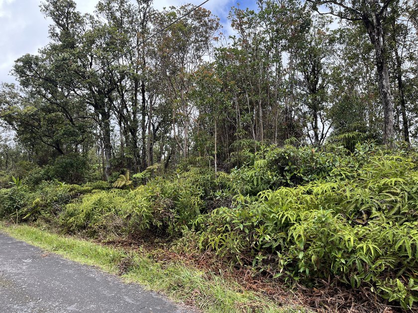 Rarely available Gorgeous Square 3 acre Corner Property in Fern - Beach Acreage for sale in Volcano, Hawaii on Beachhouse.com