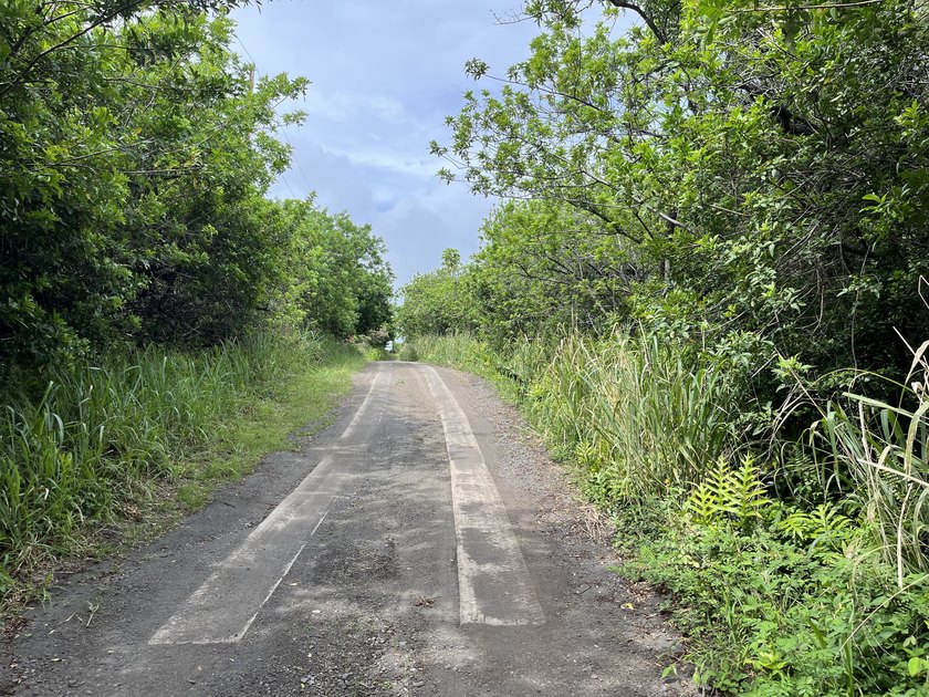 Beautiful Mark Twain Estates subdivision 20,000 sqft lot to - Beach Lot for sale in Naalehu, Hawaii on Beachhouse.com