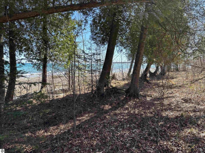Offering two beautiful lots on Lake Michigan w/ bonus lot. The - Beach Lot for sale in Beaver Island, Michigan on Beachhouse.com