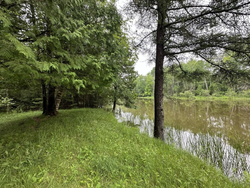 Vacant Waterfront Property on Thunder Bay RiverDiscover your - Beach Lot for sale in Alpena, Michigan on Beachhouse.com