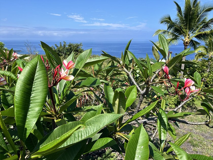 Rare opportunity to own a desirable corner lot in Kona Paradise - Beach Lot for sale in Captain Cook, Hawaii on Beachhouse.com