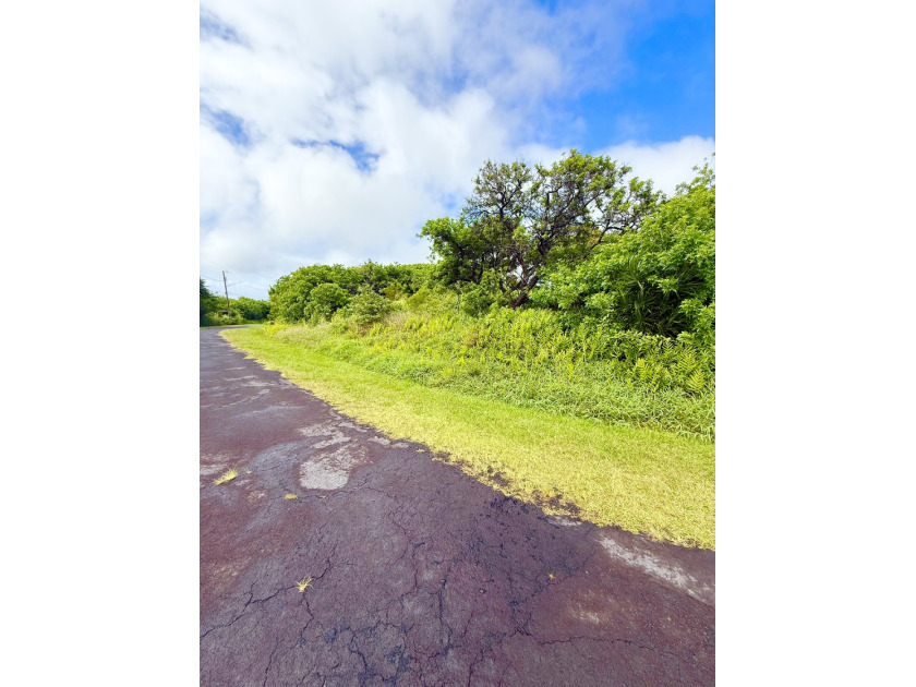 Buildable Lot, previously cleared with Golf Course - Beach Lot for sale in Naalehu, Hawaii on Beachhouse.com