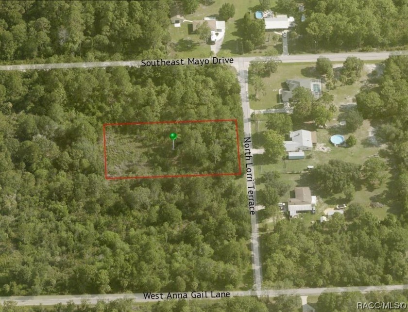 Over 1 acre Land Lot in Crystal River, Florida!! More than half - Beach Lot for sale in Crystal River, Florida on Beachhouse.com