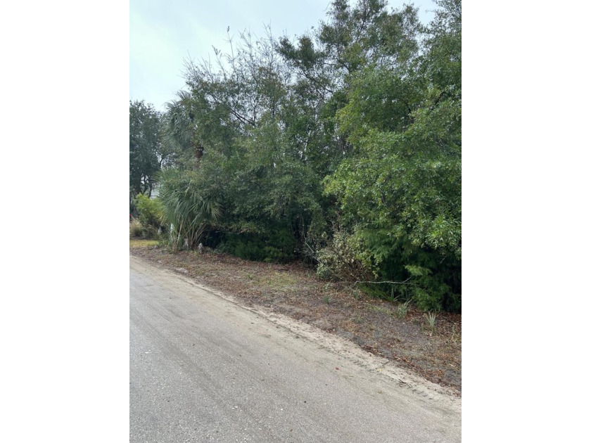 Don't miss this rare opportunity to build your beach home on - Beach Lot for sale in Edisto Island, South Carolina on Beachhouse.com