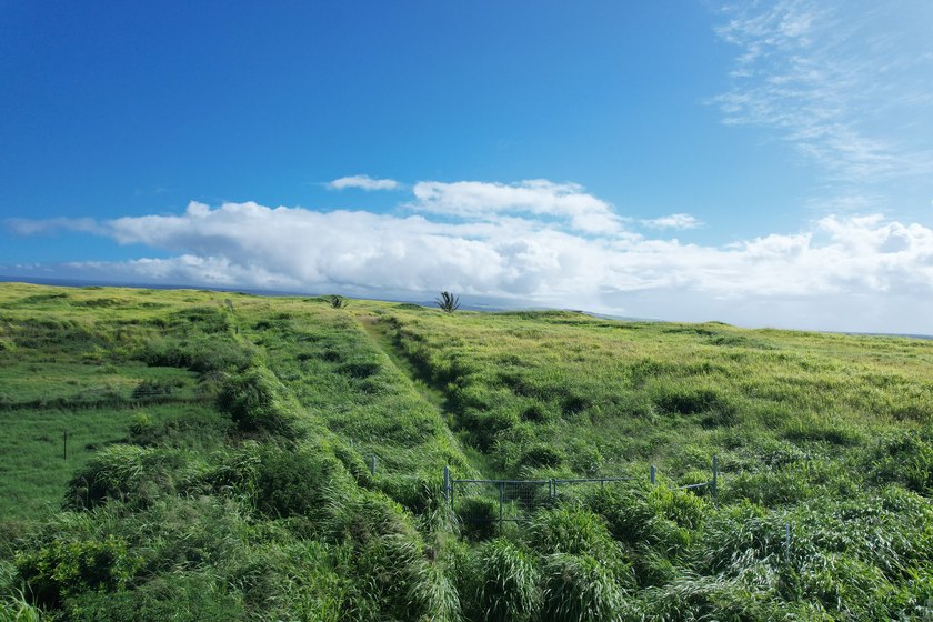 Own a lovely parcel of land on the Big Island of Hawaii! - Beach Acreage for sale in Naalehu, Hawaii on Beachhouse.com