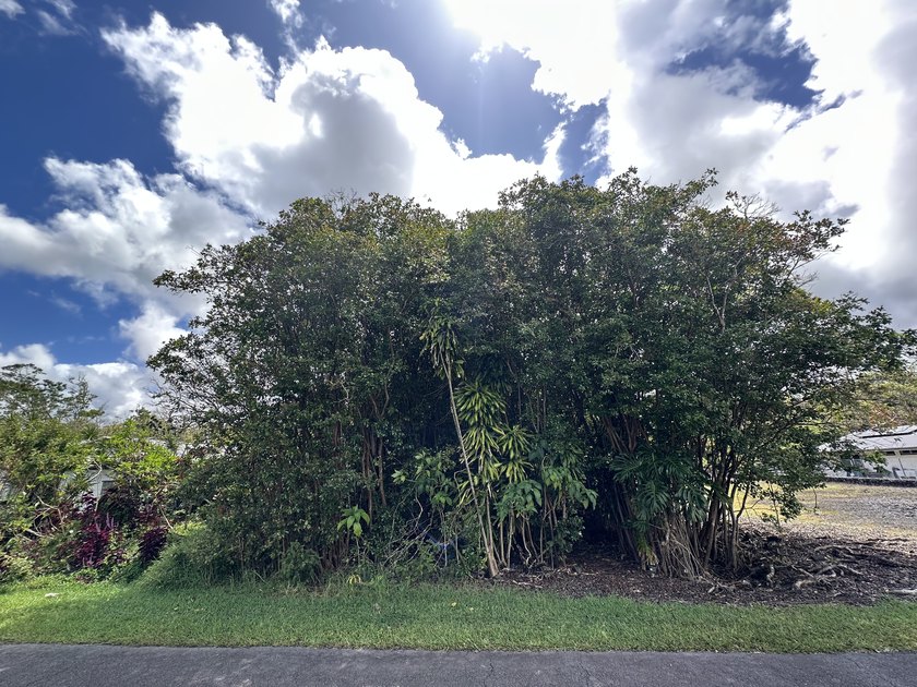 Discover the opportunity to create your ideal home in the highly - Beach Lot for sale in Hilo, Hawaii on Beachhouse.com
