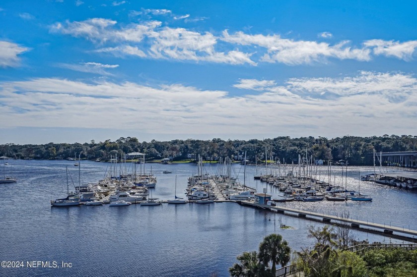 A $1,000,000 view for almost half the price! This updated 2 - Beach Condo for sale in Jacksonville, Florida on Beachhouse.com