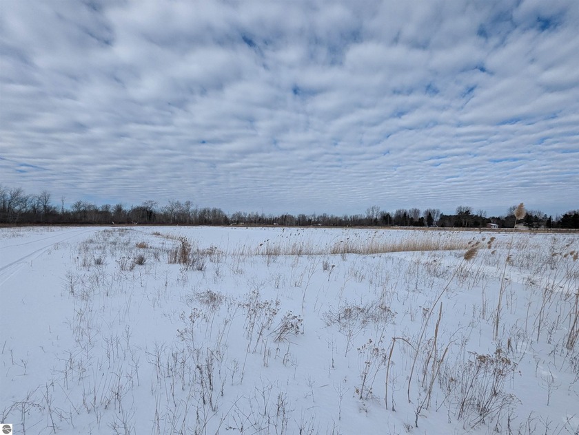 Over 10.5 acres of land with mainly open area, a driveway, and a - Beach Acreage for sale in Au Gres, Michigan on Beachhouse.com