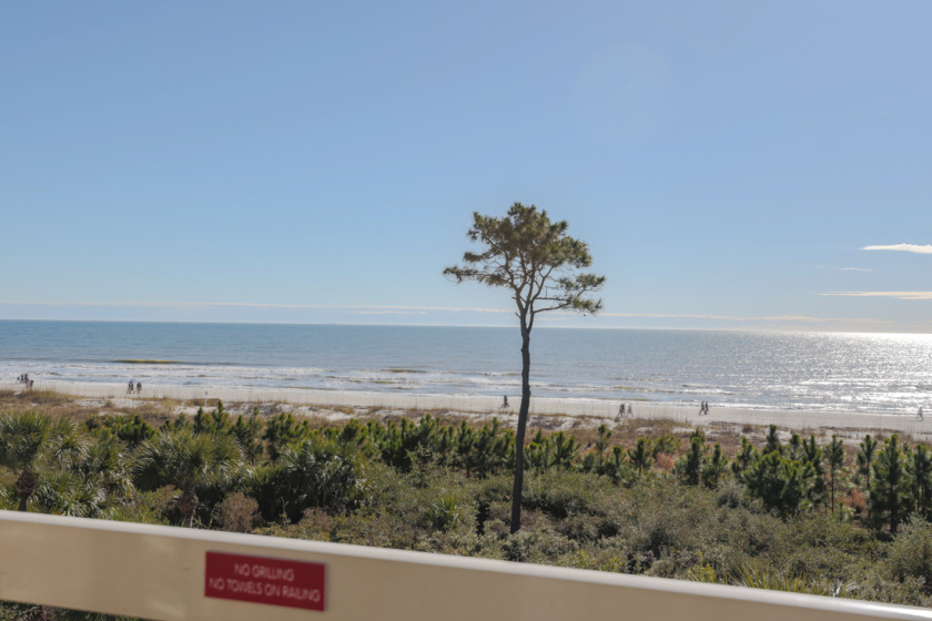 Sun, Surf, Sand! 309 Breakers, Free Bikes - Beach Vacation Rentals in Hilton Head Island, South Carolina on Beachhouse.com