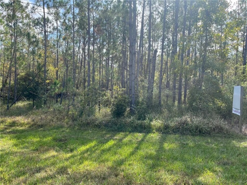 Incredible exposure to two of the most traveled highways in the - Beach Acreage for sale in Foley, Alabama on Beachhouse.com