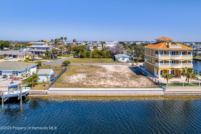 Feel Like You Are on Vacation... EVERY... SINGLE ... DAY... This - Beach Lot for sale in Hernando Beach, Florida on Beachhouse.com
