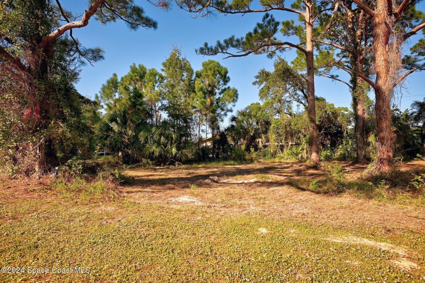 Discover a rare opportunity to own 1.0 acres of buildable - Beach Lot for sale in Merritt Island, Florida on Beachhouse.com