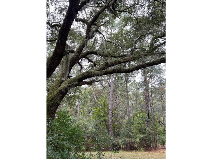 Great opportunity to own just off of the beach access road one - Beach Lot for sale in Daufuskie Island, South Carolina on Beachhouse.com