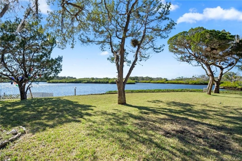 Are you looking for a unique waterfront property?  How about 2 - Beach Home for sale in Crystal River, Florida on Beachhouse.com