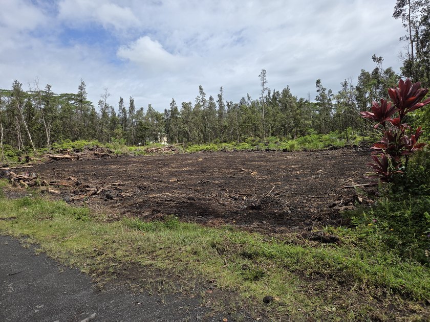 These two SxS lots have been cleared and are ready for your - Beach Lot for sale in Pahoa, Hawaii on Beachhouse.com