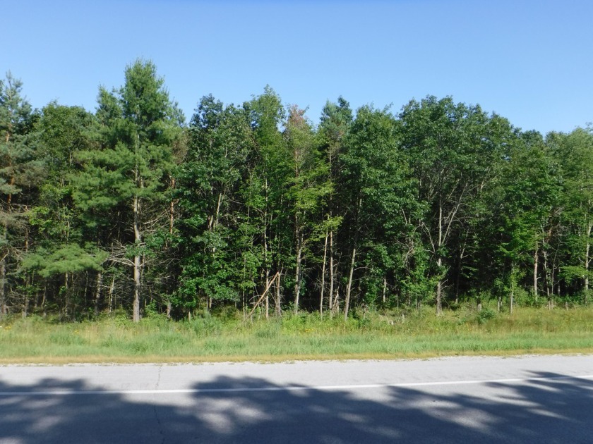 Nicely wooded lot on US-23, just north of the railroad tracks - Beach Acreage for sale in Harrisville, Michigan on Beachhouse.com
