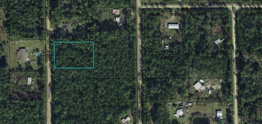 NICE 180'X270' COUNTY LOT. ZONED FOR A MANUFACTURED HOME OR SITE - Beach Lot for sale in Bunnell, Florida on Beachhouse.com