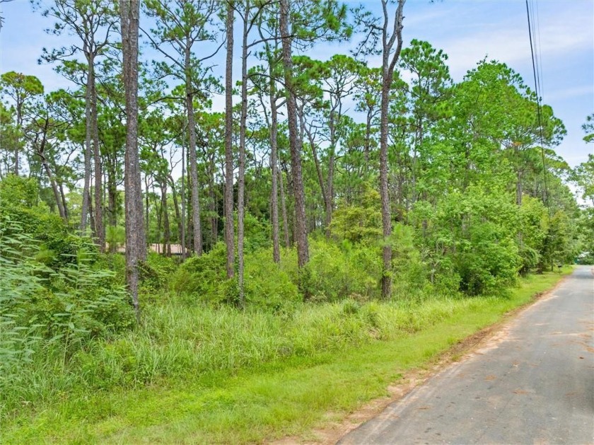 Dauphin Island value alert! GREAT price on this beautiful level - Beach Lot for sale in Dauphin Island, Alabama on Beachhouse.com