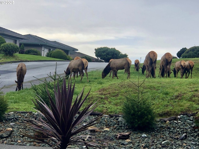A short stroll to the private neighborhood deeded beach access - Beach Lot for sale in Brookings, Oregon on Beachhouse.com