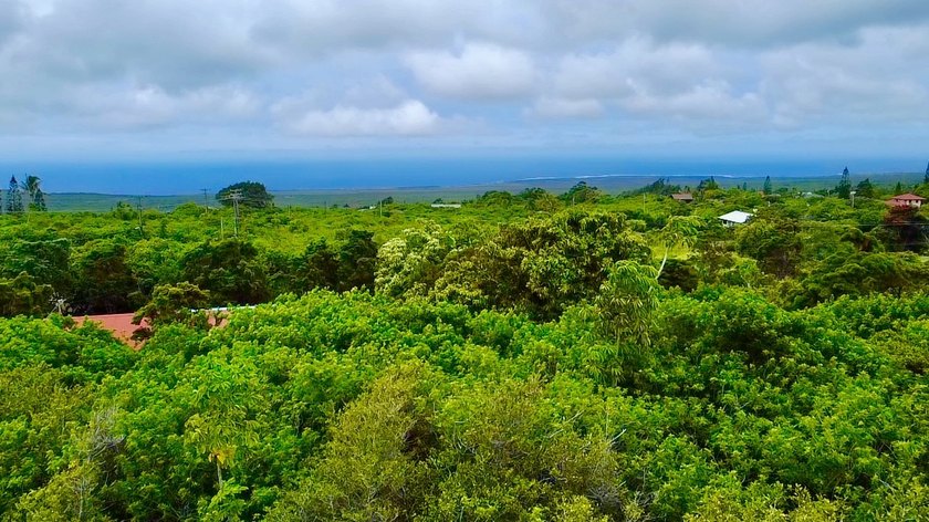Discover the perfect place to build your Hawaii dream home on - Beach Lot for sale in Naalehu, Hawaii on Beachhouse.com