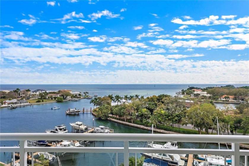 Immerse yourself in first class luxury living, with resort style - Beach Condo for sale in St. Petersburg, Florida on Beachhouse.com