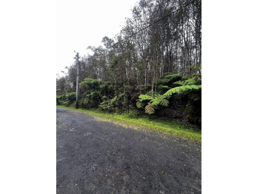 Affordable opportunity in growing subdivision. This wooded lot - Beach Lot for sale in Mountain View, Hawaii on Beachhouse.com