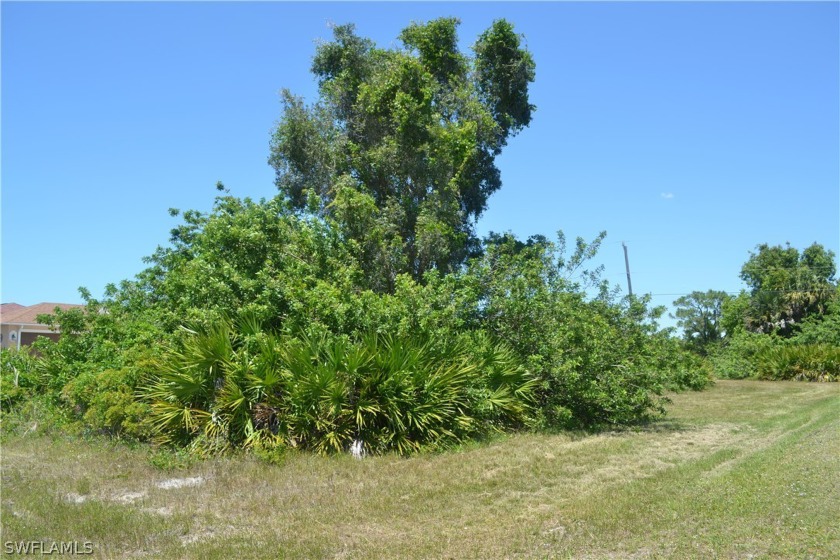Centrally Located Property In A Low Traffic Neighborhood!  Close - Beach Lot for sale in Cape Coral, Florida on Beachhouse.com