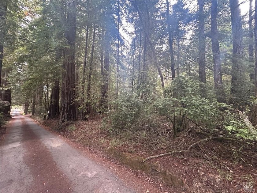 Looking for level land near the ocean? Look no further than this - Beach Lot for sale in Mendocino, California on Beachhouse.com
