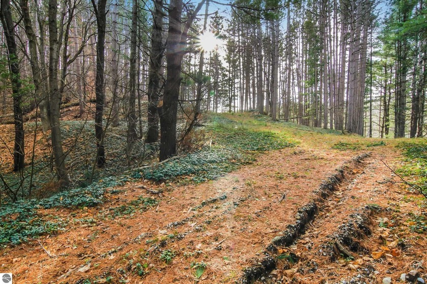 Experience the perfect blend of nature and convenience with this - Beach Acreage for sale in Traverse City, Michigan on Beachhouse.com