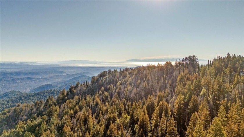 Discover a rare almost 10 acre retreat with gentle, valley like - Beach Acreage for sale in Santa Cruz, California on Beachhouse.com