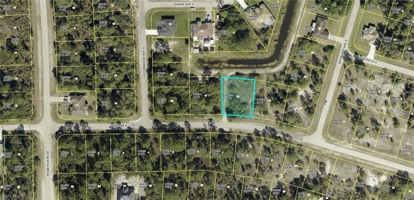 OVERESIZED LOT IN THE SE AREA OF LEHIGH, PLENTY OF NEW - Beach Lot for sale in Lehigh Acres, Florida on Beachhouse.com
