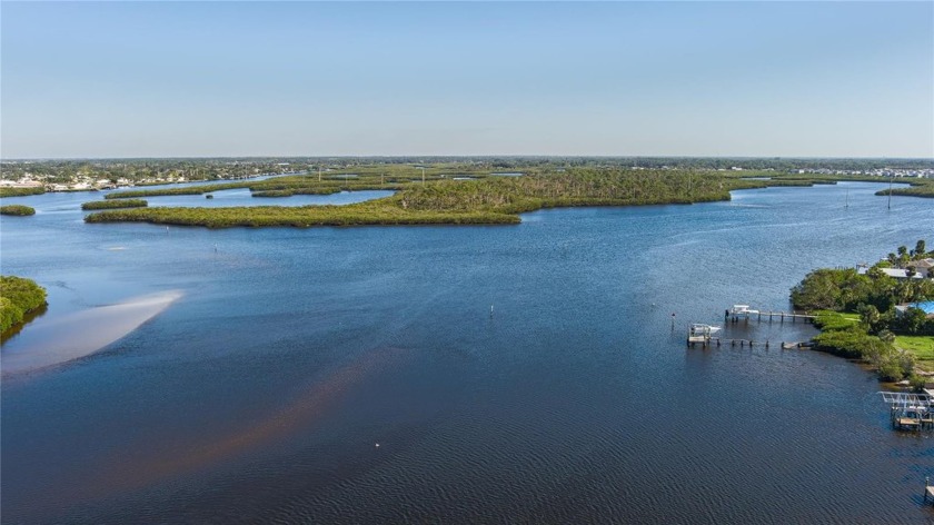 SPECTACULAR WATERFRONT - DIRECT VIEW OF THE BRADEN RIVER. A - Beach Home for sale in Bradenton, Florida on Beachhouse.com