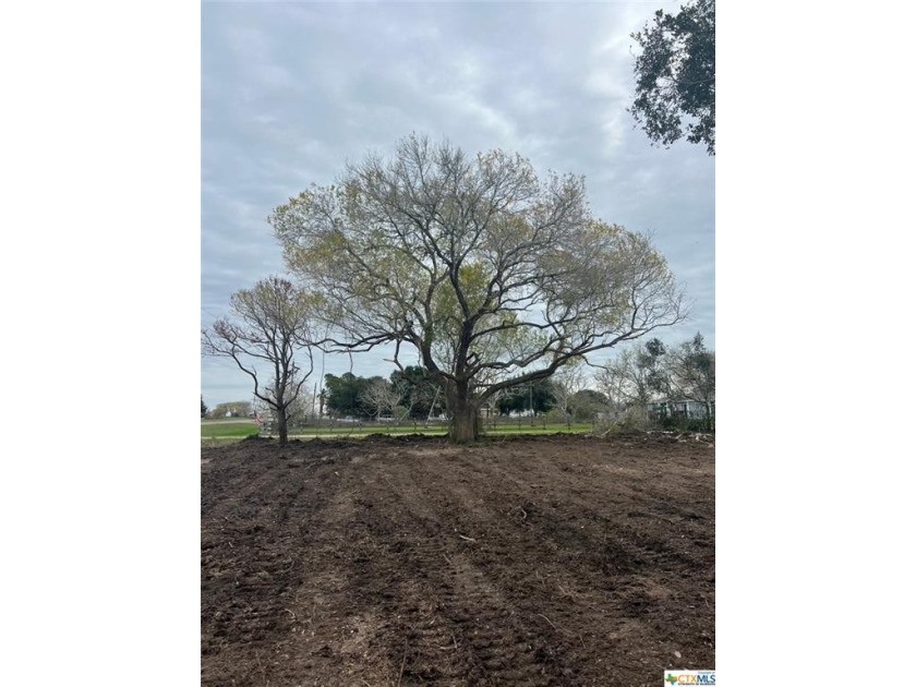 2 acres of cleared, unrestricted property with an electric pole - Beach Acreage for sale in Port Lavaca, Texas on Beachhouse.com