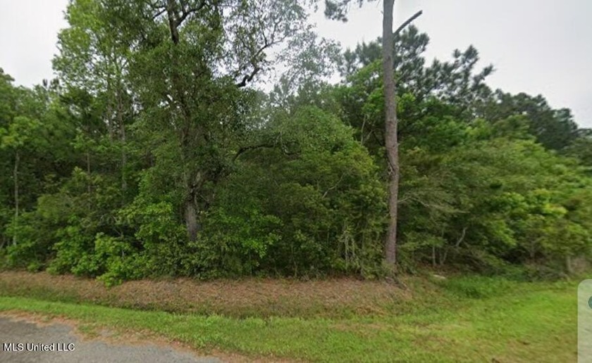 Owner Financing Available! 4 Adjoined Wooded Lots - Prime - Beach Lot for sale in Bay Saint Louis, Mississippi on Beachhouse.com