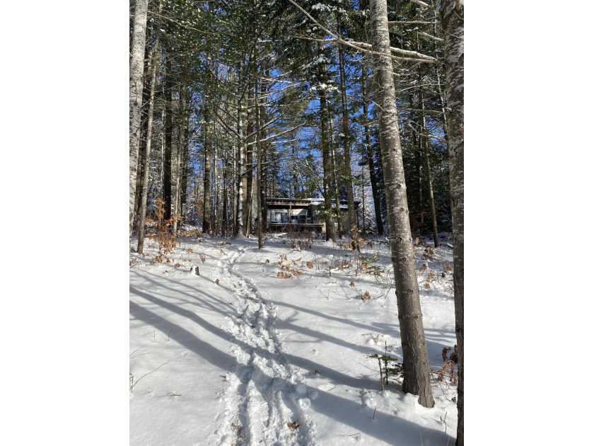 This 10 acre parcel offers nice high ground throughout and is - Beach Acreage for sale in Mcmillan, Michigan on Beachhouse.com