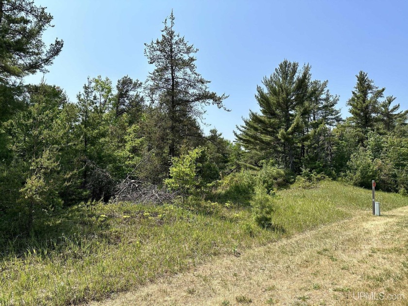 Discover an exceptional opportunity with this prime 2.12-acre - Beach Acreage for sale in Manistique, Michigan on Beachhouse.com