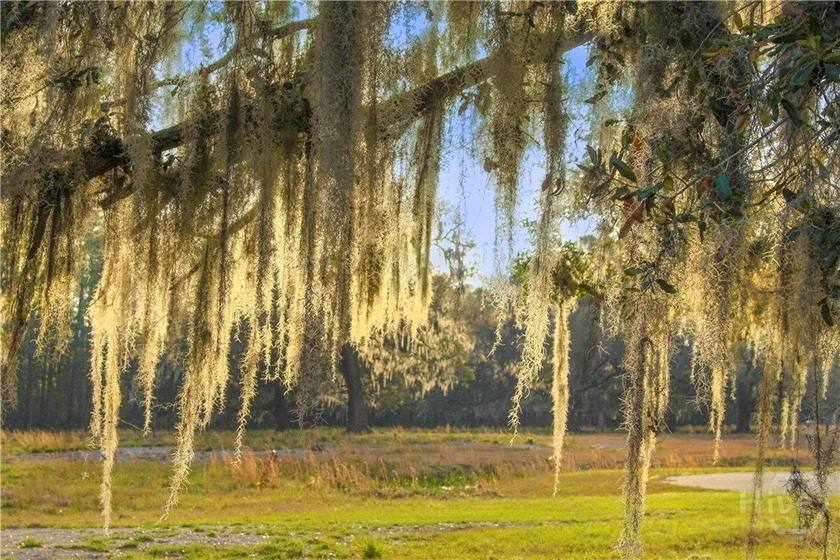 Incredible opportunity to build out a beautiful, upscale - Beach Acreage for sale in Savannah, Georgia on Beachhouse.com