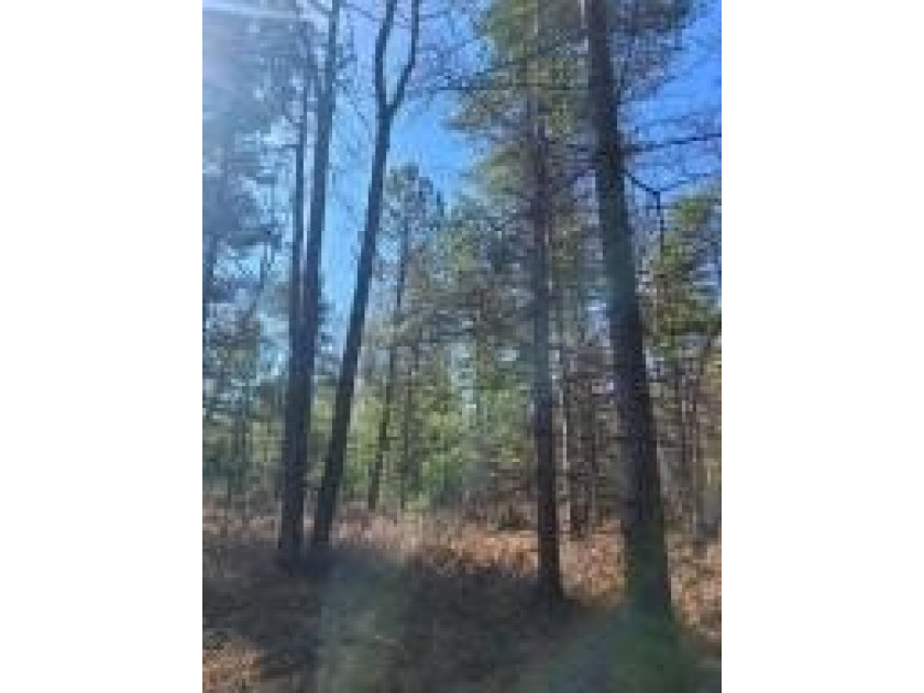 SURVEY IS ALMOST COMPLETE! This land is nestled back in the - Beach Acreage for sale in Ocqueoc, Michigan on Beachhouse.com