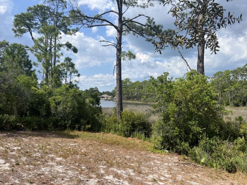 One of the last remaining lakefront lots in sought-after Turtle - Beach Lot for sale in Panama City Beach, Florida on Beachhouse.com