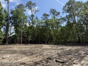READY TO BUILD YOUR NEW HOME! Buildable lot that has already - Beach Lot for sale in Diamondhead, Mississippi on Beachhouse.com