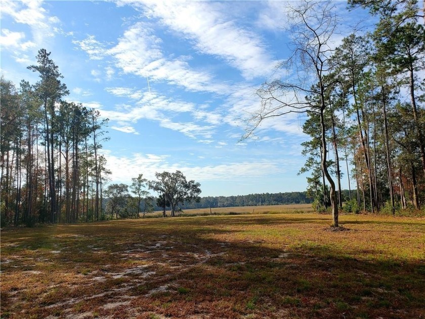 This 6.09-acre marsh front lot with stunning marsh views could - Beach Acreage for sale in Townsend, Georgia on Beachhouse.com