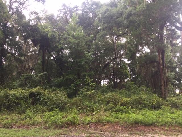 This large and tree-covered lot is located on the beautiful - Beach Acreage for sale in Darien, Georgia on Beachhouse.com