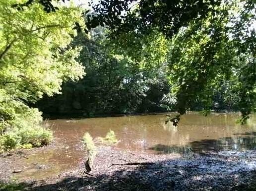 This is a fantastic opportunity to build a waterfront home on - Beach Lot for sale in Heathsville, Virginia on Beachhouse.com