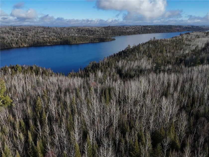 A stunning 130-acre expanse of wooded paradise featuring an - Beach Acreage for sale in Grand Marais, Minnesota on Beachhouse.com